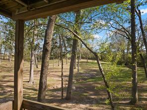 101 Bluebird Street - Photo 23