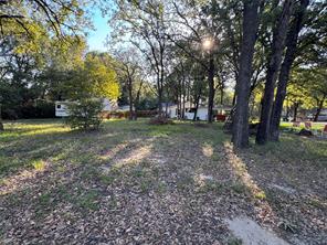 115 Seaside Drive - Photo 5
