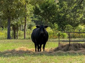 7700 County Road 3700 - Photo 32