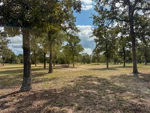 7700 County Road 3700 - Photo 39