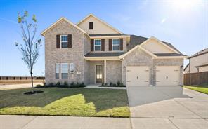 203 Yaupon Holly Street - Photo 1