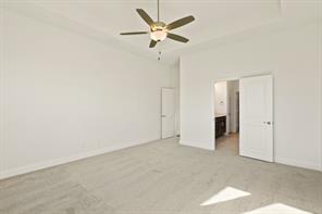 203 Yaupon Holly Street - Photo 15