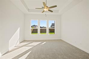 203 Yaupon Holly Street - Photo 16