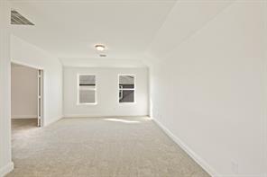 203 Yaupon Holly Street - Photo 21