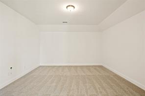 203 Yaupon Holly Street - Photo 23