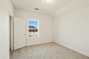 203 Yaupon Holly Street - Photo 28
