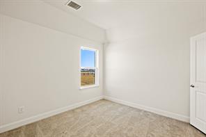 203 Yaupon Holly Street - Photo 30